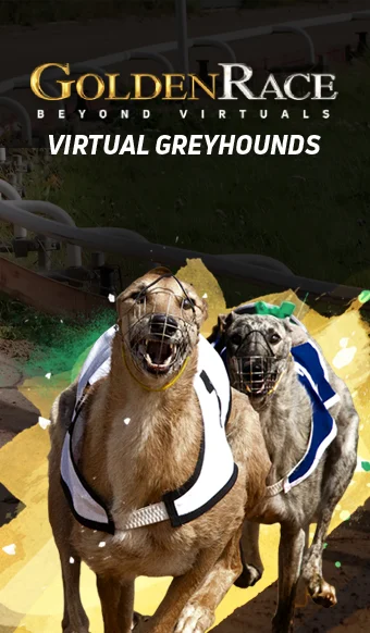 Dog 6